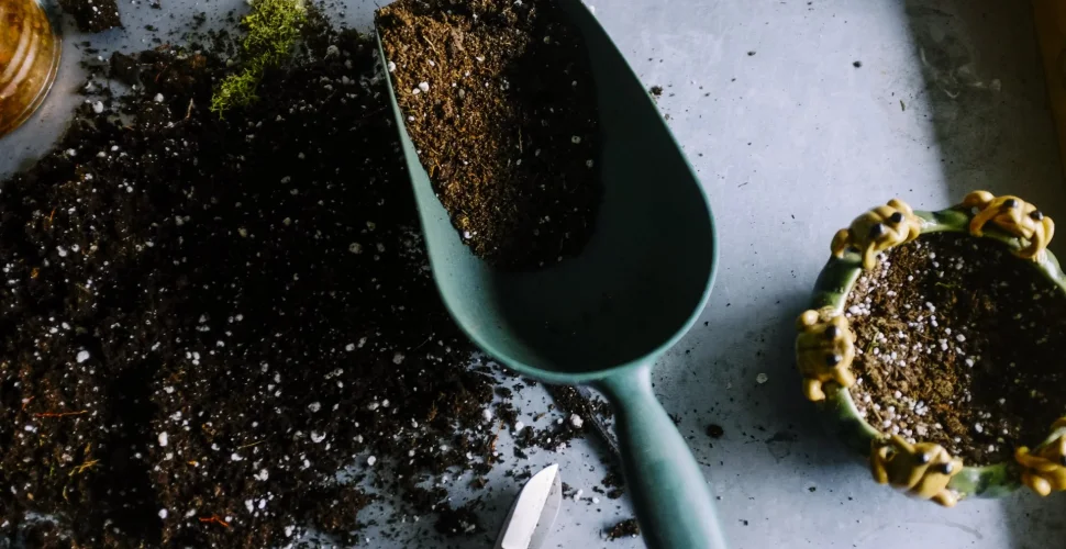Blick auf ein Hochbeet mit frischem Gemüse und Kräutern im eigenen Garten